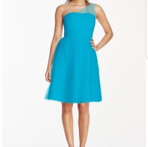 David's Bridal Dress in Plum, optional Prom